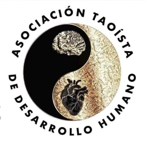 logo de la escuela de taichi morelia